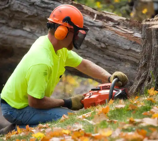 tree services La Croft